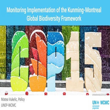 Monitoring Implementation of the Kunming Montreal Global Biodiversity Framewo...