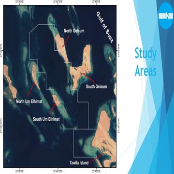 Monitoring Project.pptx