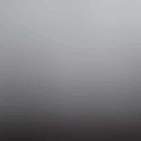 Monitor Video Presentation