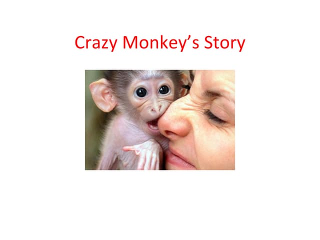Monkey