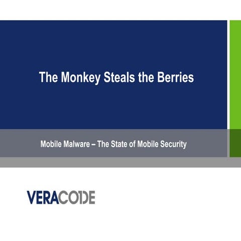 BRUCon 2010 - The Monkey Steals the Berries