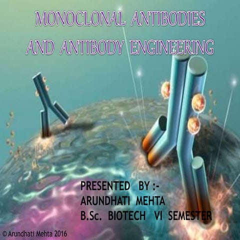 Monoclonal Antibodies & Antibody Engineering