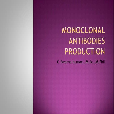 Monoclonal antibodies production