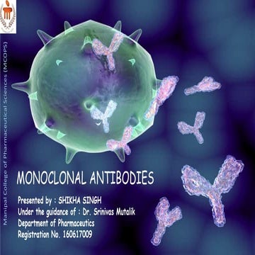 Monoclonal antibody and its delivery
