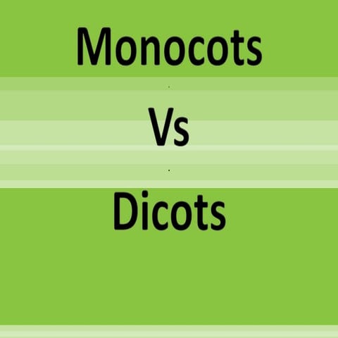 monocot-vs-dicot.ppt FOR  I'M IRRIGATION I LOVE THIS SO BAD BUT THIS ONE WAS