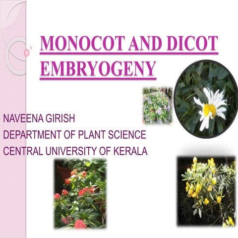 Monocot and dicot navi