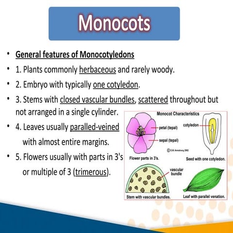 Identification keys to orders and families of Monocots and Dicots 