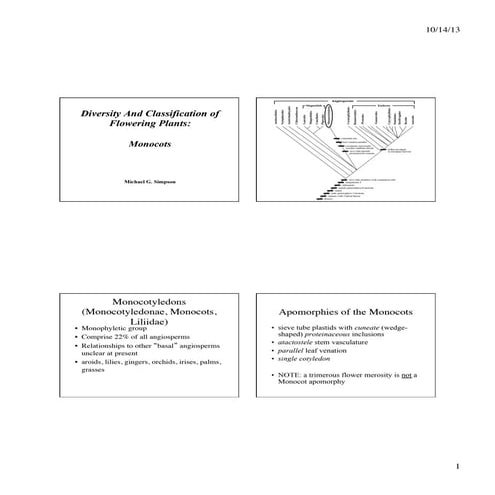 Monocots bio20 fs2013.ppt