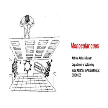 Monocular cues