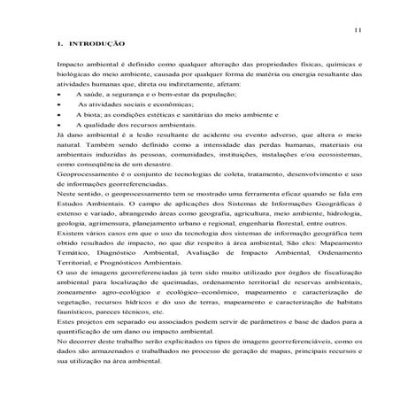 Monografia geoprocessamento