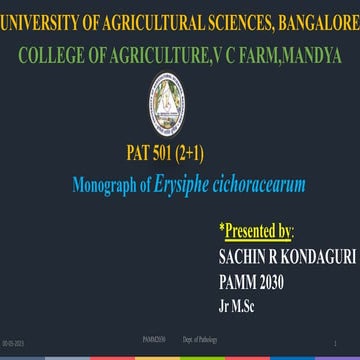 monograph of erysiphe cichoracearum by Sachin r kondaguri.pptx