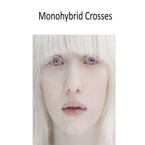 Monohybrid cross
