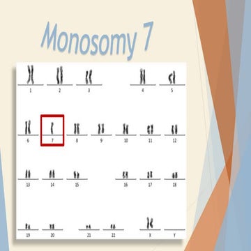Monosomy 7