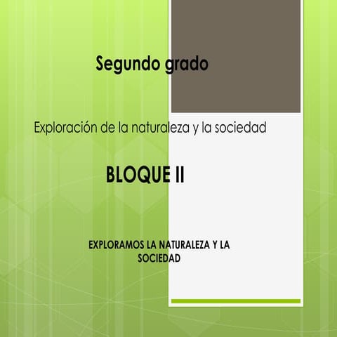 Montañas y llanuras