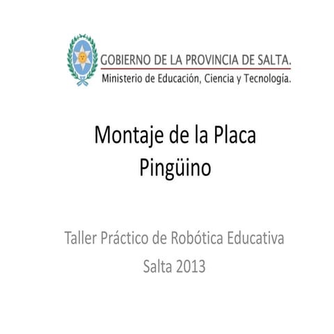 Montaje de la placa pingüino