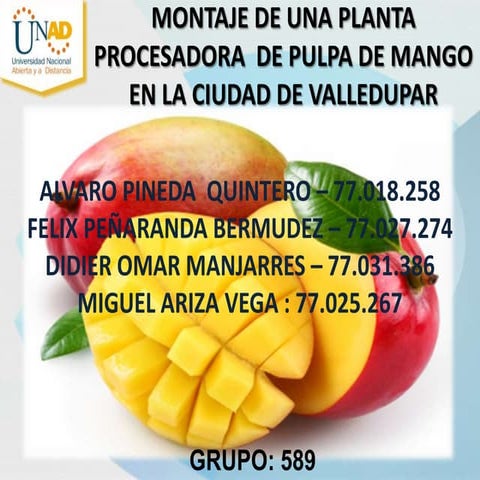 MONTAJE DE UNA PLANTA PROCESADORA DE PULPA DE MANGO EN LA CIUDAD DE VALLEDUPAR