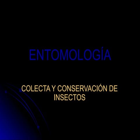 Recolecion, montaje y preservacion de insectos | PDF