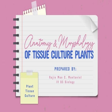 Plant Tissue Culture Summary Reportttttt