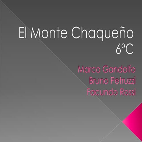 AMBIENTE: Monte Chaqueño 6º C