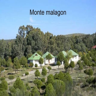 Monte malagon