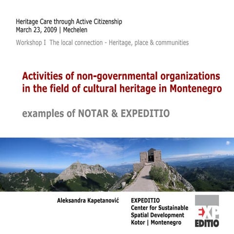 Activities of non-governmental organizations in the field of cultural heritag...