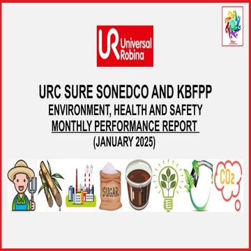 Monthly EHS Performance Report_Template (1) (1).pptx
