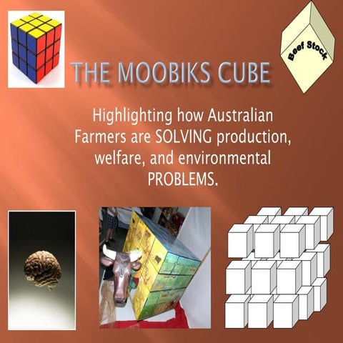 Caroline Chisholm College Archibull Prize 2011 Entry Beef