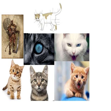 mood board for character