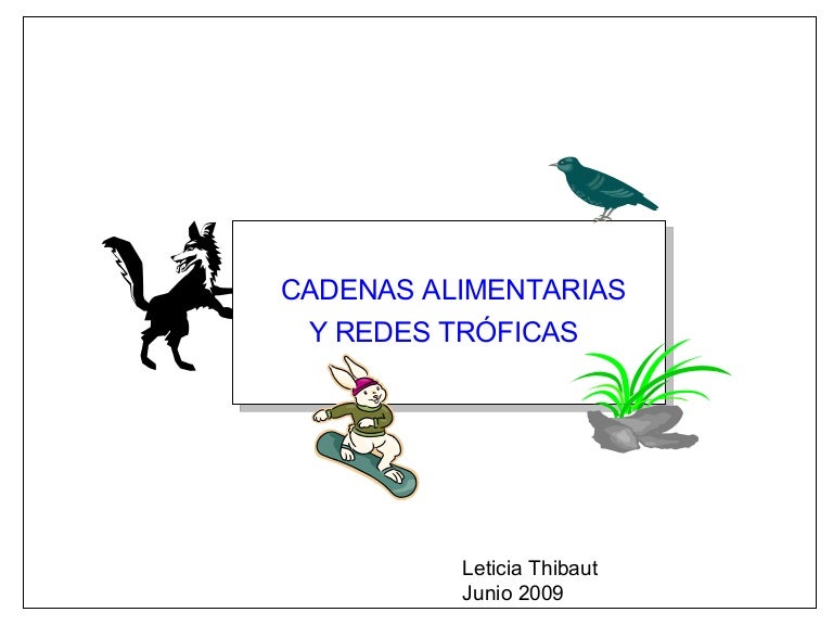 cadena alimentaria y red trofica diferencia cadenas alimentarias y redes troficas cadena alimentaria y red trofica diferencia cadenas alimentarias y redes troficas