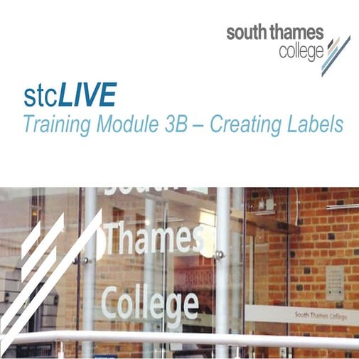 stcLIVE Stage 3B Training - Creating A Label