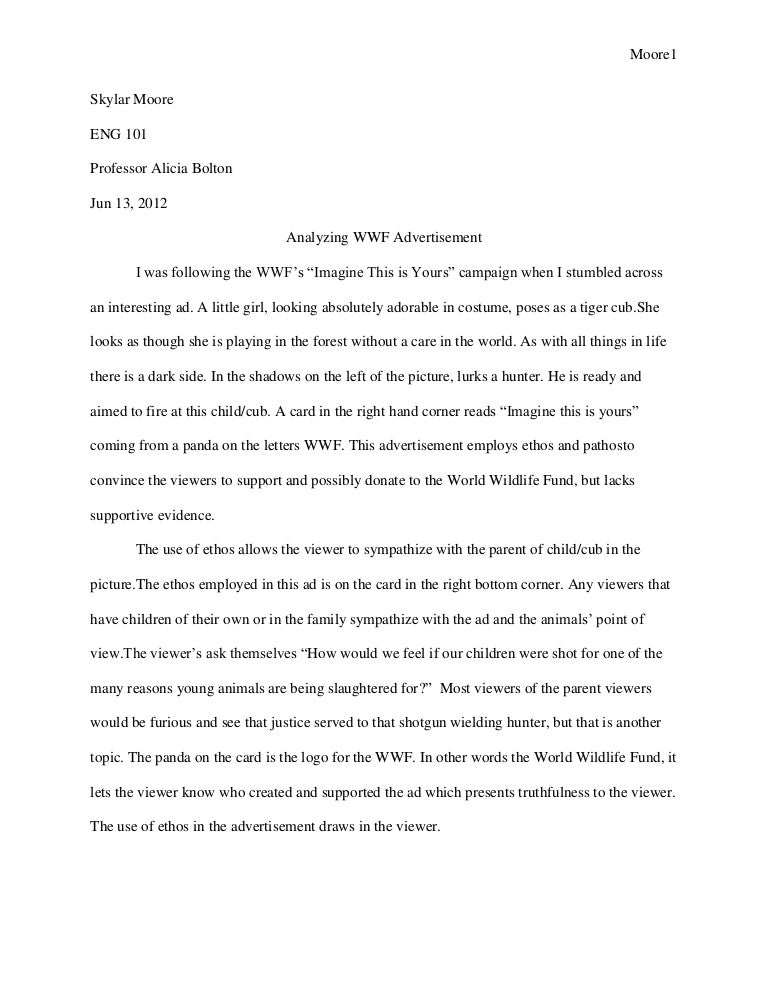 evaluation essay writing help self