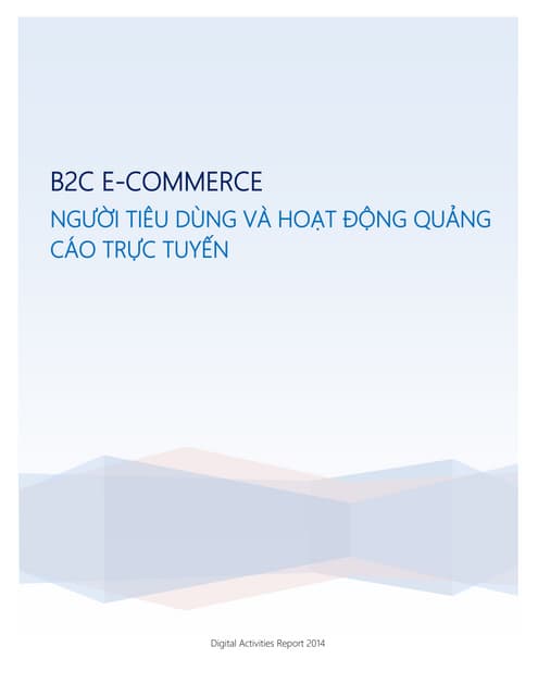 Thương mại điện tử Việt Nam 2014