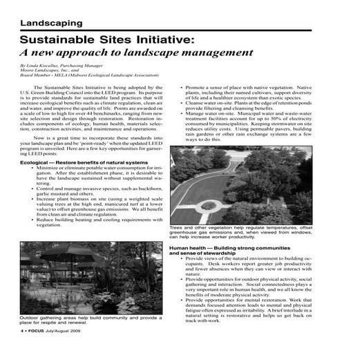 Moore   Focus July Aug 09