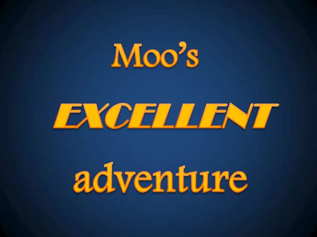 Moo's excellent adventure - How our cat spent his summer vacation - Funny