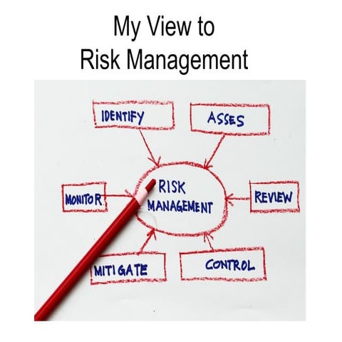 Mootaz+el halawany+view+to+risk+management