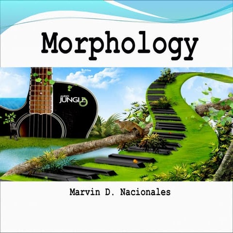 Introduction to Morphology