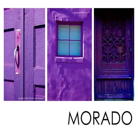 Morado 