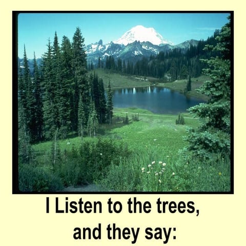 Morals  listen to the trees, and theysay