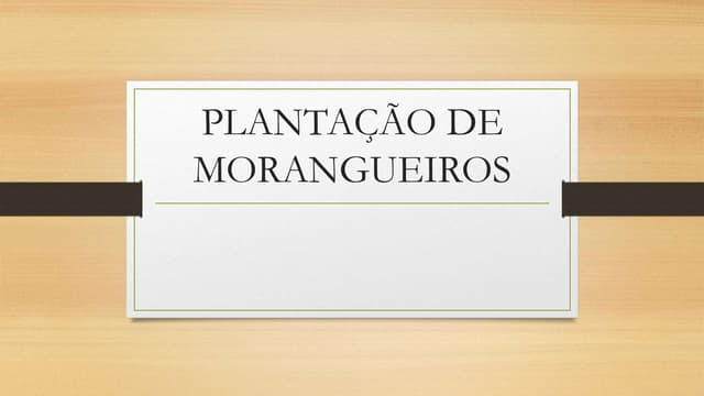 Morangos