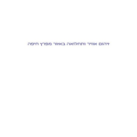 התחלואה החריגה במפרץ חיפה ואיך רשויות הממשל מטפלות בה: 