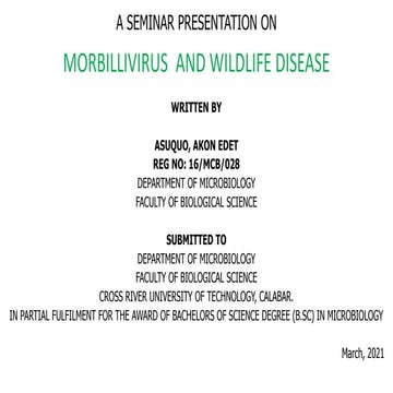 Morbillivirus  and wildlife disease