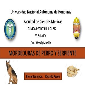 Mordeduras de perro y serpiente