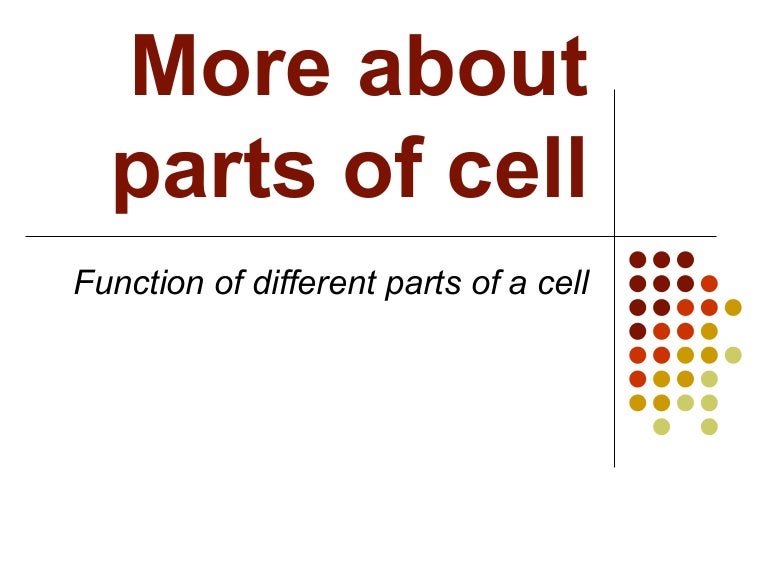 More about parts of cell sample lesson