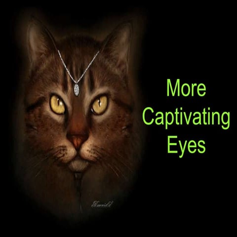 More Captivating Eyes