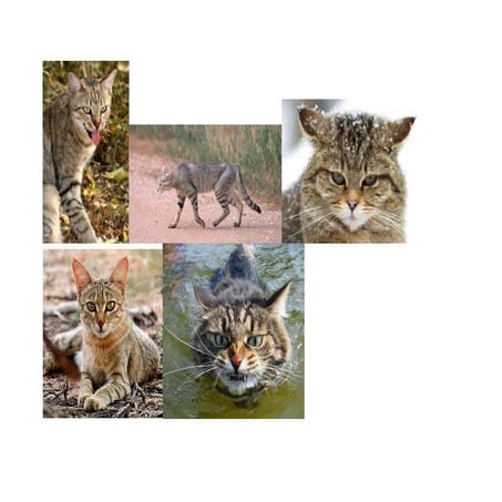 mood board for character 2