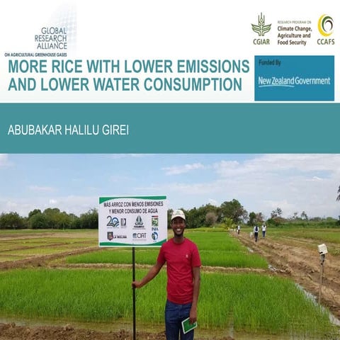 More rice with lower emissions and lower water consumption | PPTX