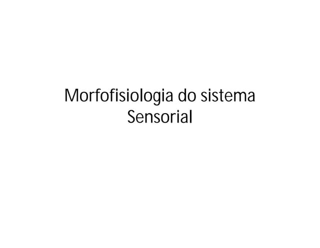 Morfofisiologia do sistema sensorial