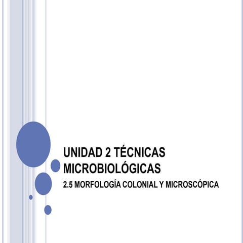 Morfología colonial y microscopica