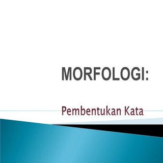 Morfologi