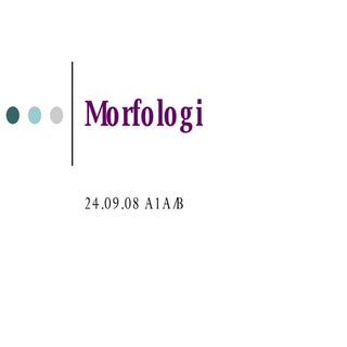 Morfologi